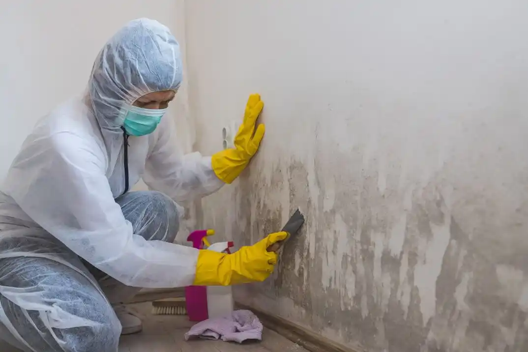 water damage restoration service East Washington